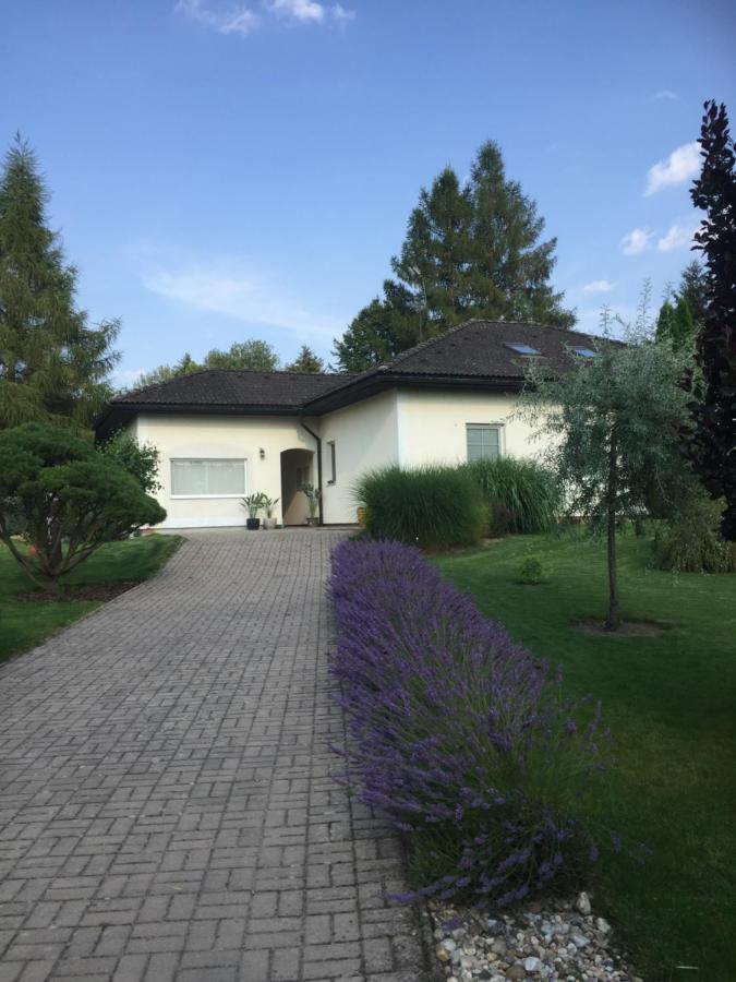 Studiovy Apartman V Zahrade Police nad Metuji Exterior photo